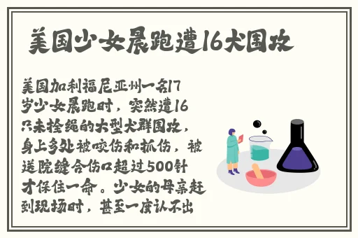榴莲视频app 视频